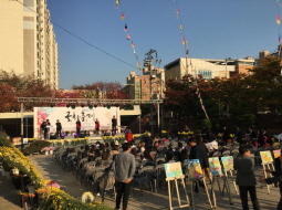 2017.10.27 태장동 국화축제